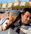 Счастье рыбака на набережной Лиссабона - рыба называется курвина. 14кг